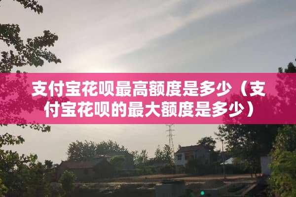 支付宝花呗最高额度是多少（支付宝花呗的最大额度是多少）