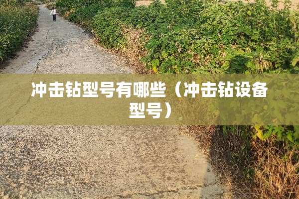 冲击钻型号有哪些（冲击钻设备型号）