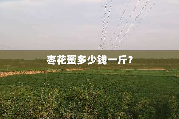 枣花蜜多少钱一斤？