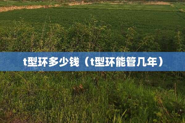 t型环多少钱（t型环能管几年）