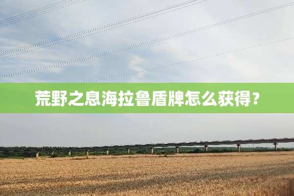 荒野之息海拉鲁盾牌怎么获得？