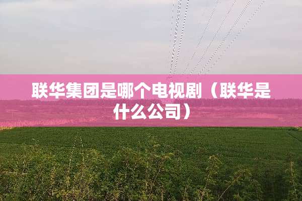联华集团是哪个电视剧（联华是什么公司）