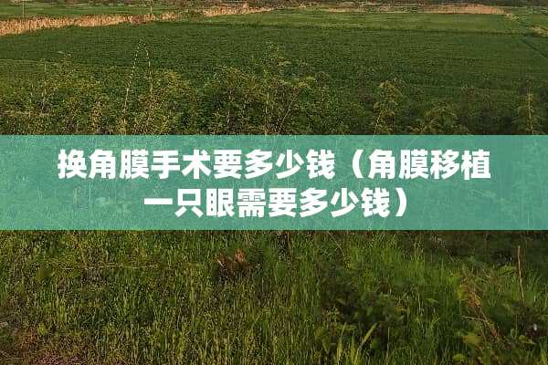 换角膜手术要多少钱（角膜移植一只眼需要多少钱）