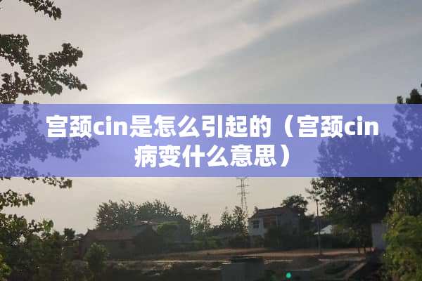 宫颈cin是怎么引起的（宫颈cin病变什么意思）