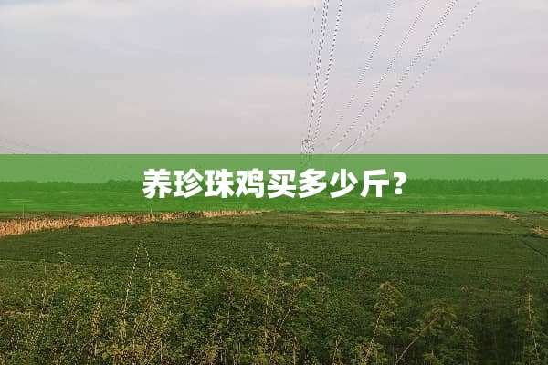 养珍珠鸡买多少斤？