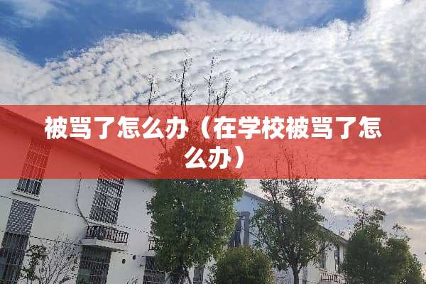 被骂了怎么办（在学校被骂了怎么办）