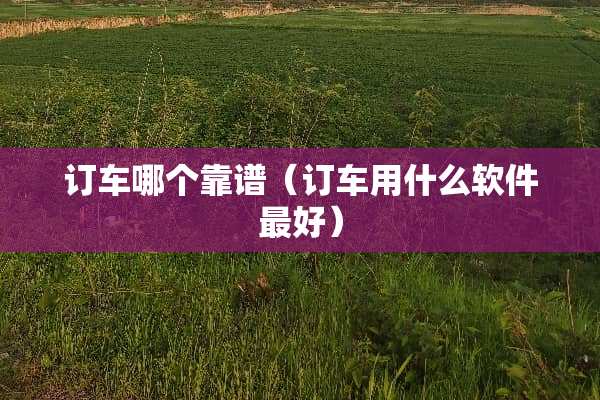 订车哪个靠谱（订车用什么软件最好）