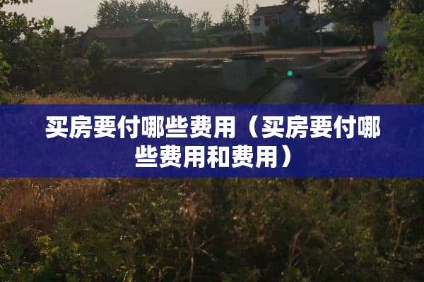 买房要付哪些费用（买房要付哪些费用和费用）