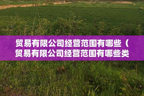 贸易有限公司经营范围有哪些（贸易有限公司经营范围有哪些类别）