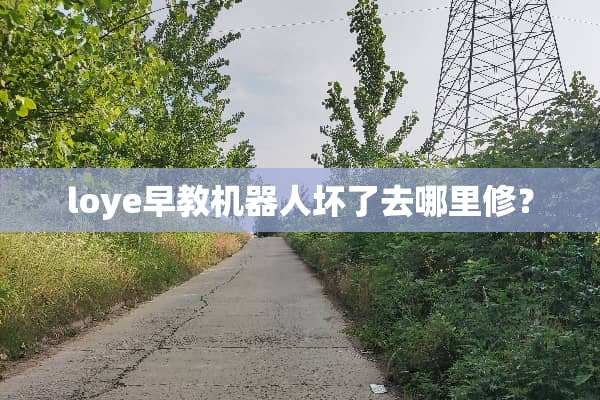 loye早教机器人坏了去哪里修？