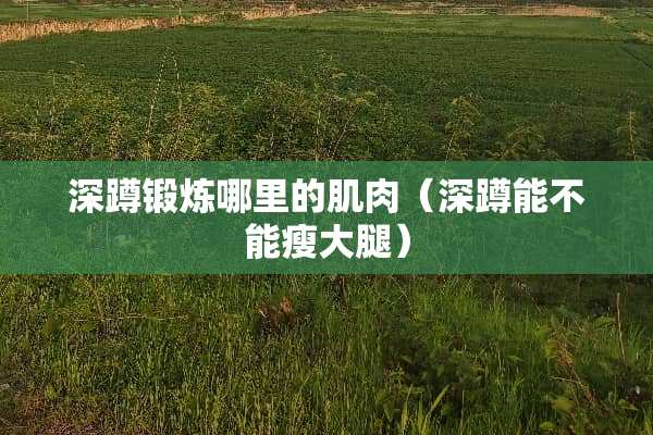 深蹲锻炼哪里的肌肉（深蹲能不能瘦大腿）