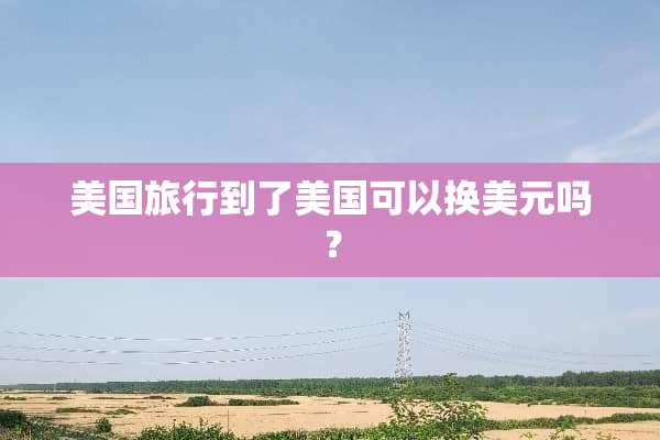 美国旅行到了美国可以换美元吗？