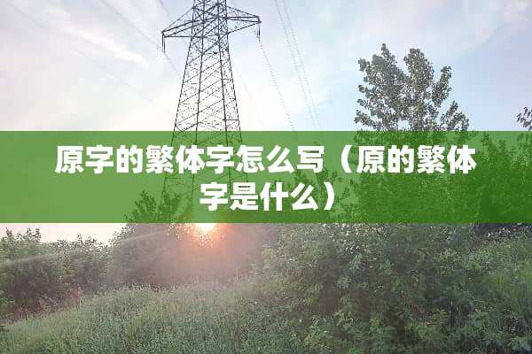 原字的繁体字怎么写（原的繁体字是什么）