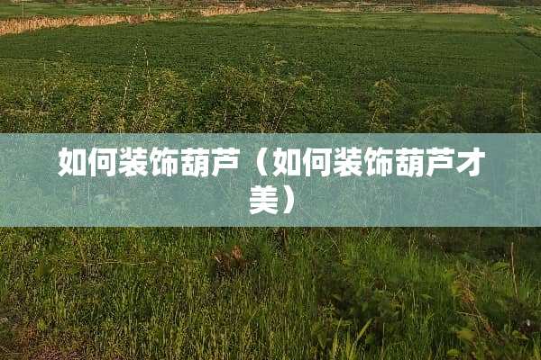 如何装饰葫芦（如何装饰葫芦才美）