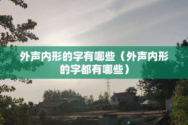 外声内形的字有哪些（外声内形的字都有哪些）