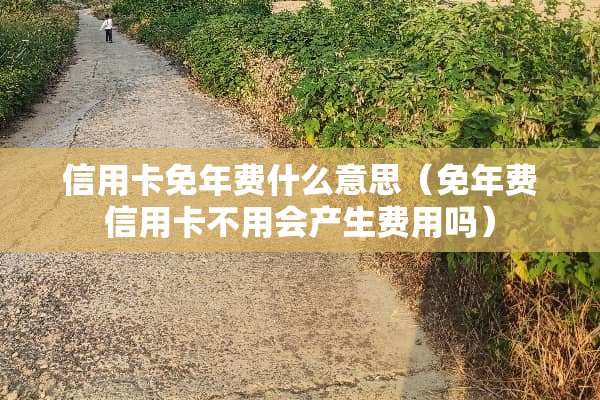 ***免年费什么意思（免年费***不用会产生费用吗）