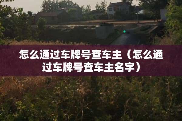 怎么通过***查车主（怎么通过***查车主名字）