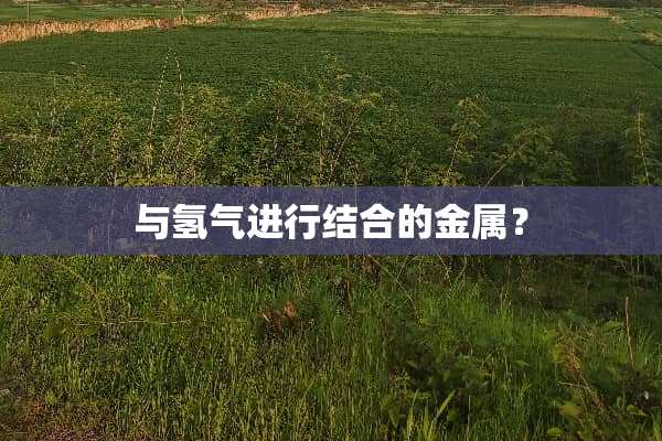 与氢气进行结合的金属？