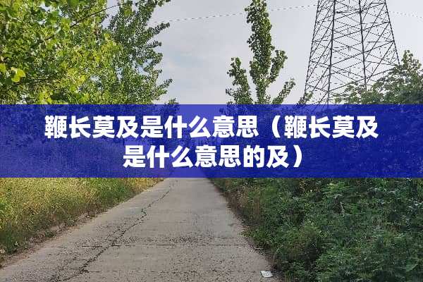 鞭长莫及是什么意思（鞭长莫及是什么意思的及）