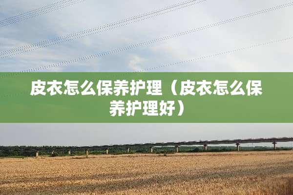 皮衣怎么保养护理（皮衣怎么保养护理好）