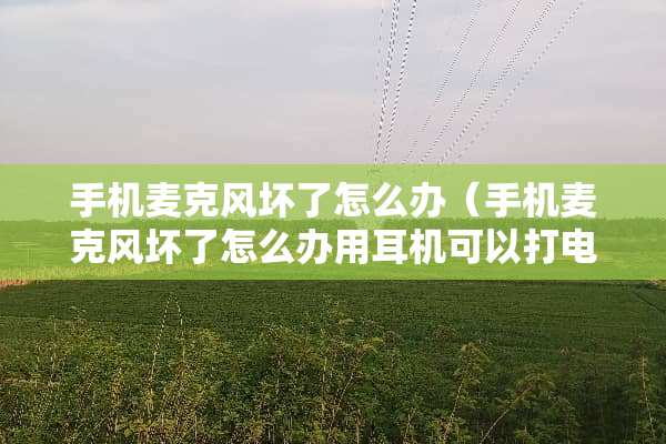 手机麦克风坏了怎么办（手机麦克风坏了怎么办用耳机可以打电话吗）
