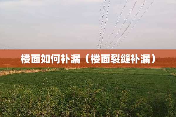 楼面如何补漏（楼面裂缝补漏）