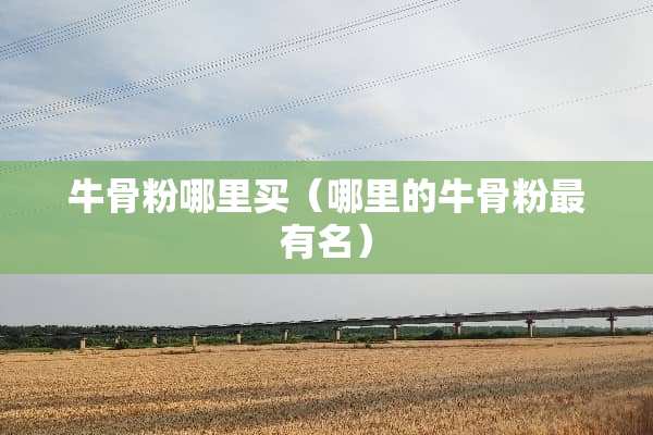 牛骨粉哪里买（哪里的牛骨粉最有名）