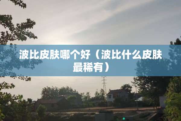 波比皮肤哪个好（波比什么皮肤最稀有）