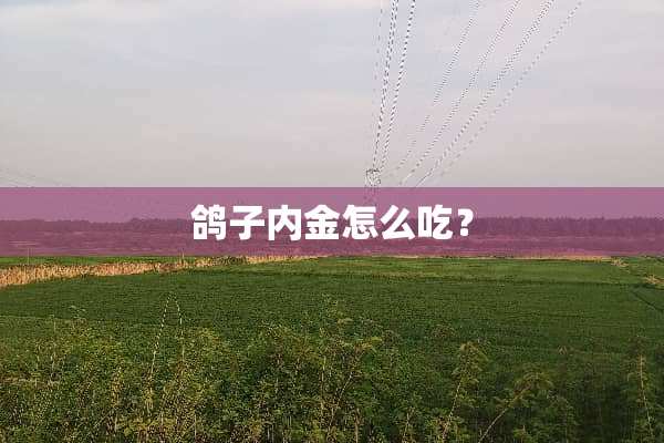 鸽子内金怎么吃？