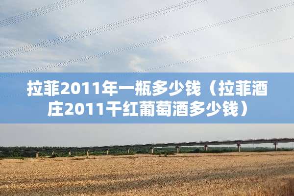 拉菲2011年一瓶多少钱（拉菲酒庄2011干红葡萄酒多少钱）