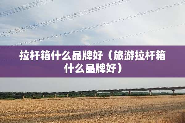 拉杆箱什么品牌好（旅游拉杆箱什么品牌好）