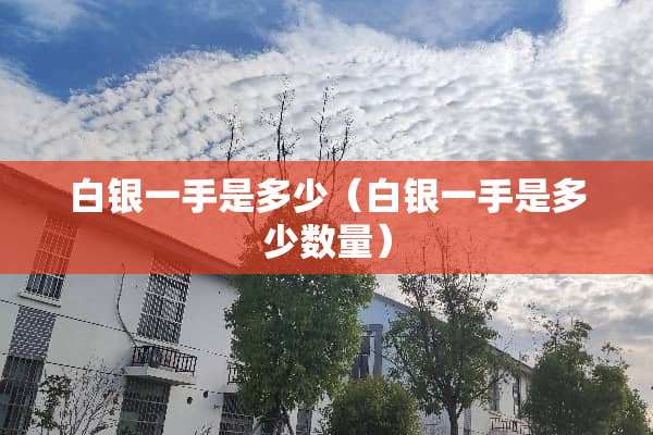 白银一手是多少（白银一手是多少数量）