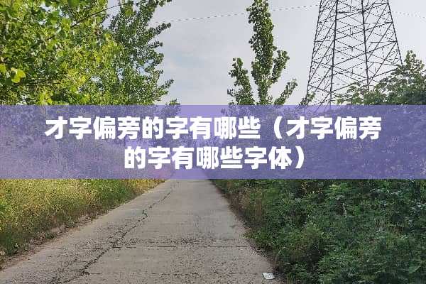 才字偏旁的字有哪些（才字偏旁的字有哪些字体）