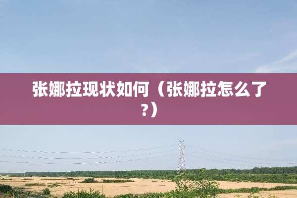 张娜拉现状如何（张娜拉怎么了?）
