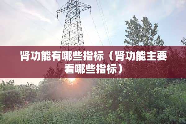 肾功能有哪些指标（肾功能主要看哪些指标）