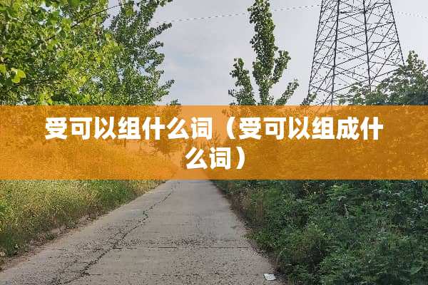 受可以组什么词（受可以组成什么词）