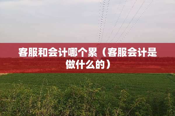 客服和会计哪个累（客服会计是做什么的）