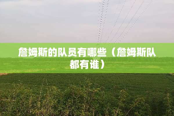 詹姆斯的队员有哪些（詹姆斯队都有谁）
