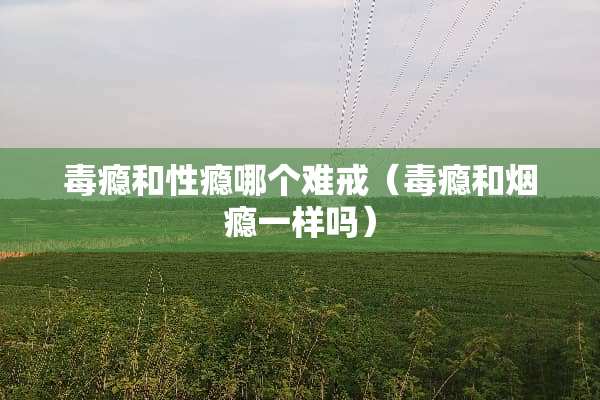 毒瘾和性瘾哪个难戒（毒瘾和烟瘾一样吗）