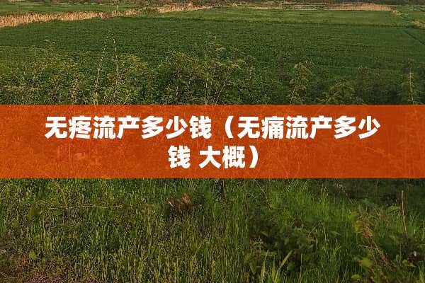 无疼流产多少钱（无痛流产多少钱 大概）