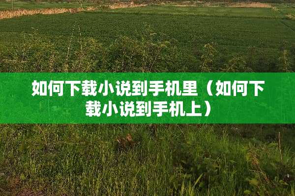 如何下载小说到手机里（如何下载小说到手机上）
