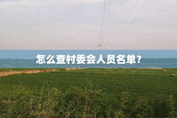 怎么查村委会人员名单？