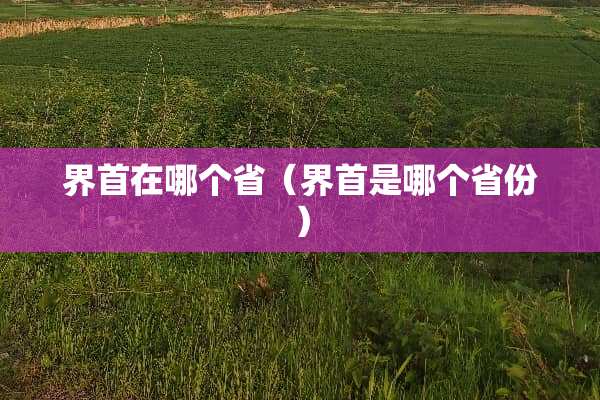 界首在哪个省（界首是哪个省份）