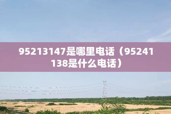 95213147是哪里电话（95241138是什么电话）