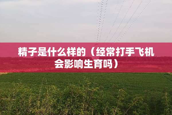 **是什么样的（经常**飞机会影响生育吗）