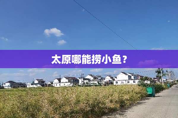 太原哪能捞小鱼？