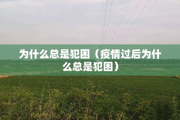 为什么总是犯困（疫情过后为什么总是犯困）