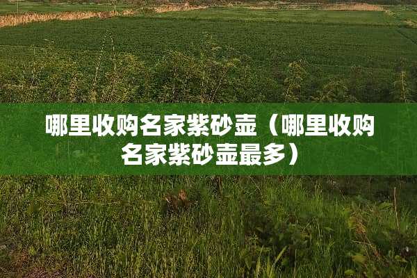 哪里收购名家紫砂壶（哪里收购名家紫砂壶最多）