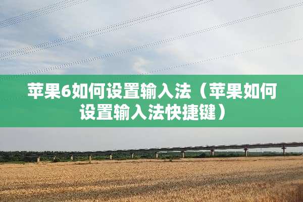 苹果6如何设置输入法（苹果如何设置输入法快捷键）