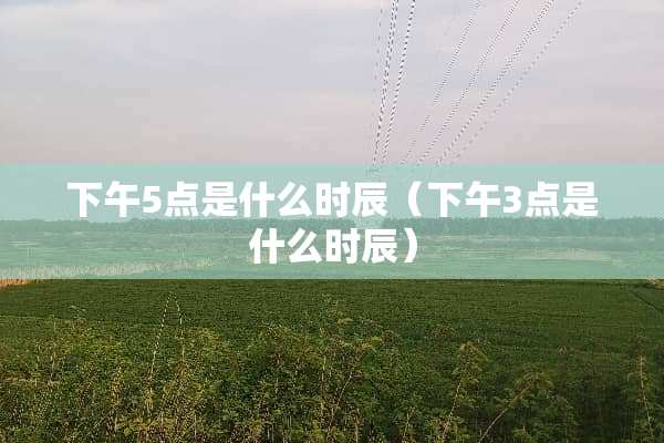 下午5点是什么时辰（下午3点是什么时辰）